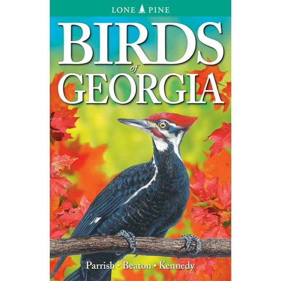 Birds of Georgia, (Paperback)