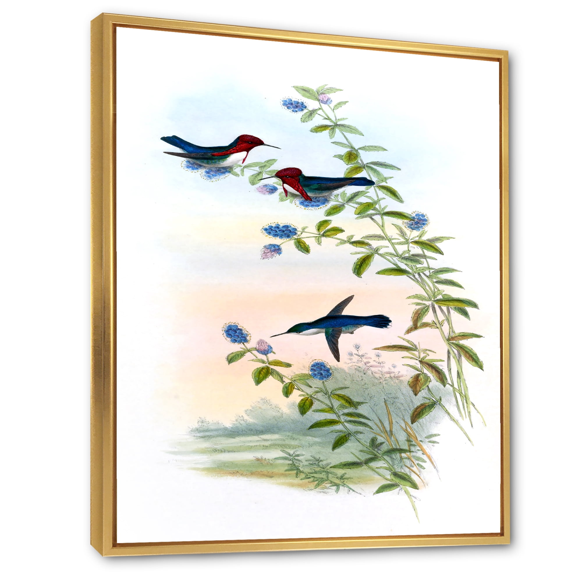 Designart 'Ancient Hummingbird II' Traditional Framed Canvas Wall Art Print