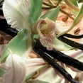 thumbnail image 3 of Fine'ry Fragrance Mini Pistachio Please Body Spray, Travel Size 2.5oz, 3 of 4