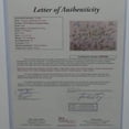 thumbnail image 6 of Rickie Fowler, Dustin Johnson, Brooks Koepka, Bryson DeChambeau plus 34 golfers Autographed TPC The Players Championship Deluxe Framed Pin Flag - JSA Letter, 6 of 6