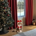 thumbnail image 4 of Festive Holiday Bow Hat Outfit for Small and Medium Sized Cats and Dogs, 4 of 5