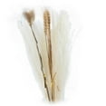 thumbnail image 1 of 30x Pampas Grass Bunch Bouquet Phragmites Reed Plants florales para Decorac Florero Cumpleaños Boda Estilo B Colco hierba de pampa seca, 1 of 7
