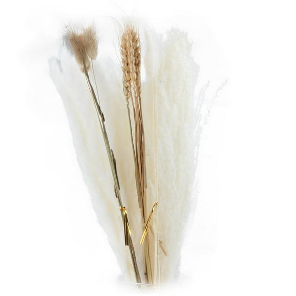 30x Pampas Grass Bunch Bouquet Phragmites Reed Plants florales para Decorac Florero Cumpleaños Boda Estilo B Colco hierba de pampa seca