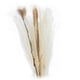 thumbnail image 2 of Ramo de flores Fernando Pasto seco 60 para regalo, 2 of 8