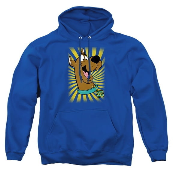 Scooby-Dooª - T-Shirt Unisex Adult Pull-Over Heather Hoodie, Medium, Royal