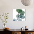 thumbnail image 5 of Dull Eucalyptus, Botanical Stretched Canvas Wall Art by Albert Koetsier Sold by Art.Com, 5 of 5