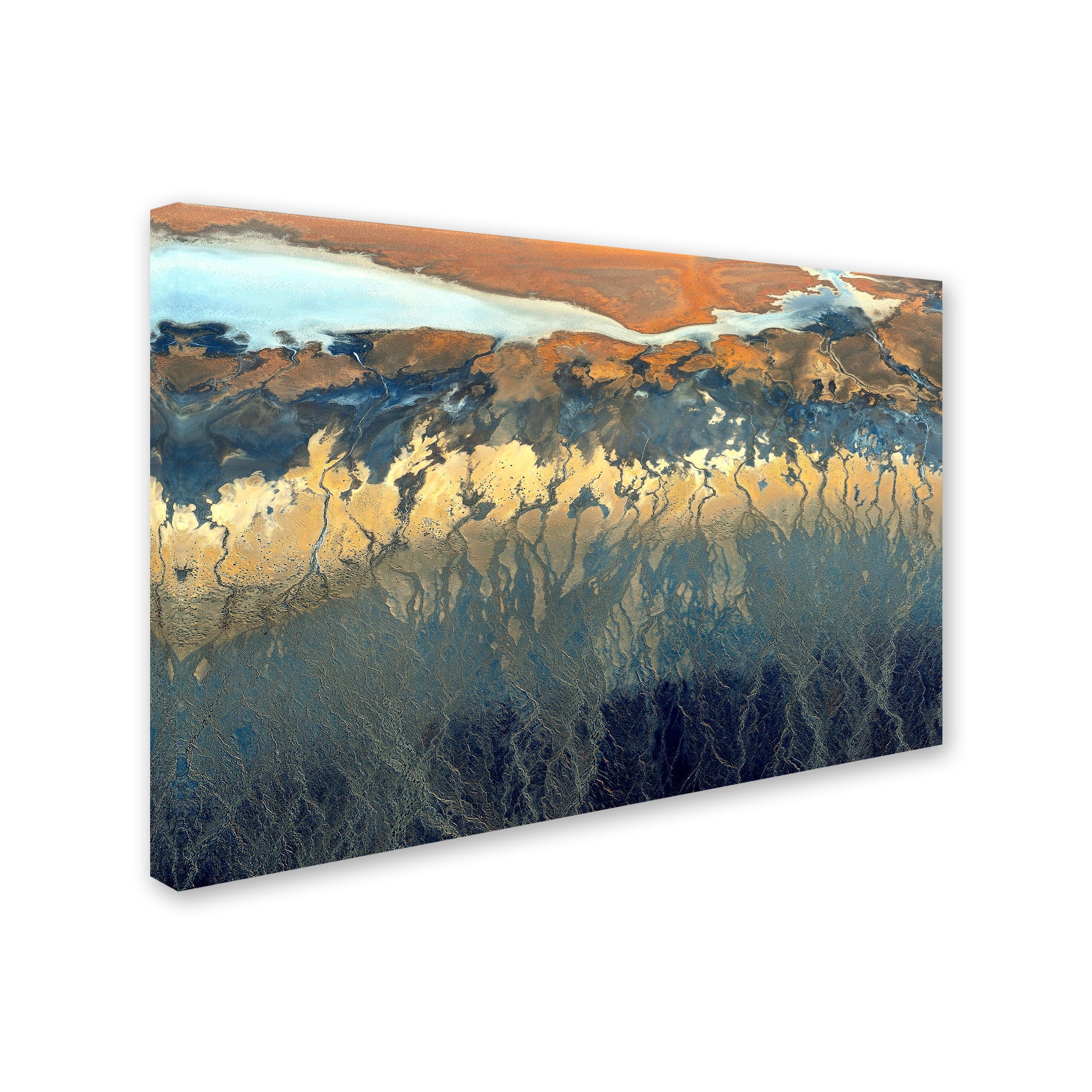 Tanja Ghirardini 'California Aerial' Canvas Art