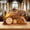 H, variant on 2D Easter Resurrection Scene Wooden Ornament, "He Is Risen" Hollow Desktop Decor, Religious Tabletop Display for Home, , and Sunday School
