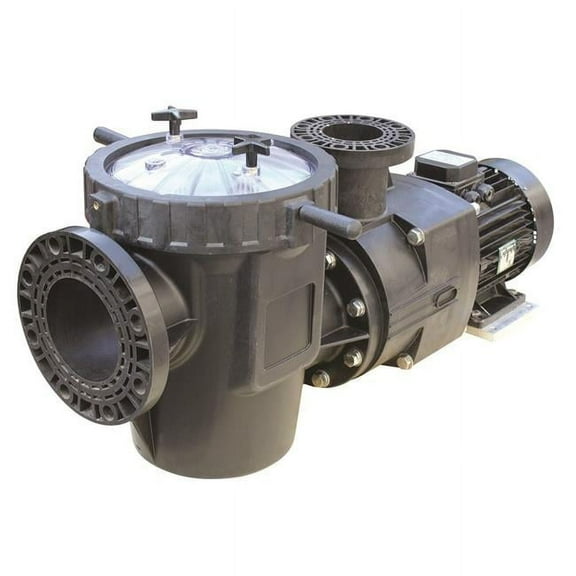 Waterco 24607507A 7.5 HP Hydrostar Plus Single Phase Commercial High Performance Pump with Strainer