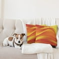 thumbnail image 4 of Ambesonne Orange Throw Pillow Cover 2 Pack, Abstract Digital Waves, 20", Burnt Orange, 4 of 7