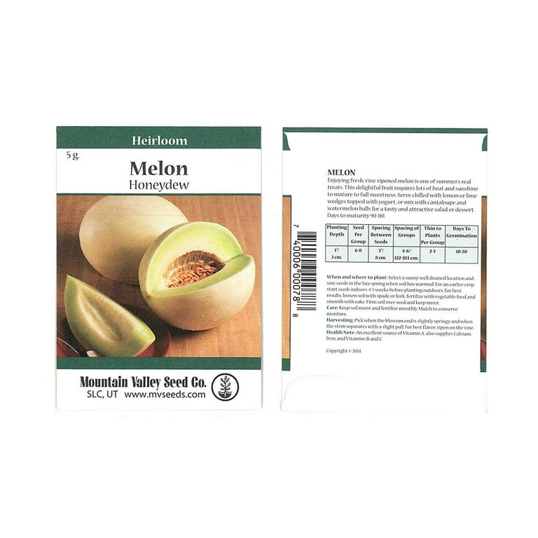 Honeydew Melon Garden Seeds - Green Flesh - 5 Gram Packet - Non-GMO,  Heirloom Vegetable Gardening Seed - Honey Dew Fruit