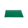 thumbnail image 1 of Siser EasyWeed Drap 15"x12 Pouces (Vert), 1 of 4