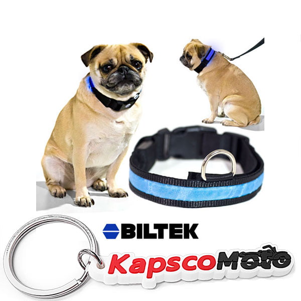 Gabkey Blue Nylon LED Dog Night Safety Collar Flashing Light up W/circular Pendant Collar Large 