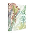 thumbnail image 2 of Trademark Fine Art 'Woven Sea Plants Ii' Canvas Art by Naomi Mccavitt, 2 of 3