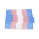 thumbnail image 3 of Bandera transgénero de 90 x 150 cm Bandera de género transgénero Bandera de género transgénero, 3 of 6