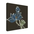 thumbnail image 2 of Trademark Fine Art 'Lotus on Black VII' Canvas Art by Chris Paschke, 2 of 3