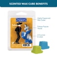 thumbnail image 3 of Bailado (Danced) Scented Wax Melts, ScentSationals, 2.5 oz (1-Pack), 3 of 11