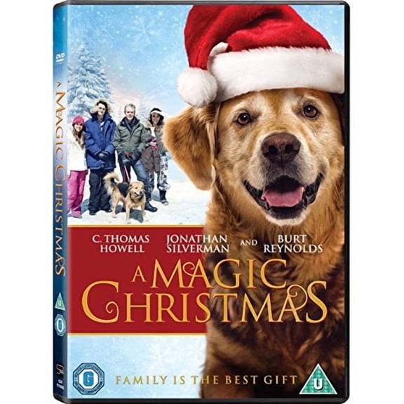 A Magic Christmas [DVD]