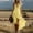 A_ Beige, variant on Ygbgbb Women's Sleeveless V-Neck Dress with Irregular Ruffle Hem, Elegant Casual Summer Mini Dress Green S