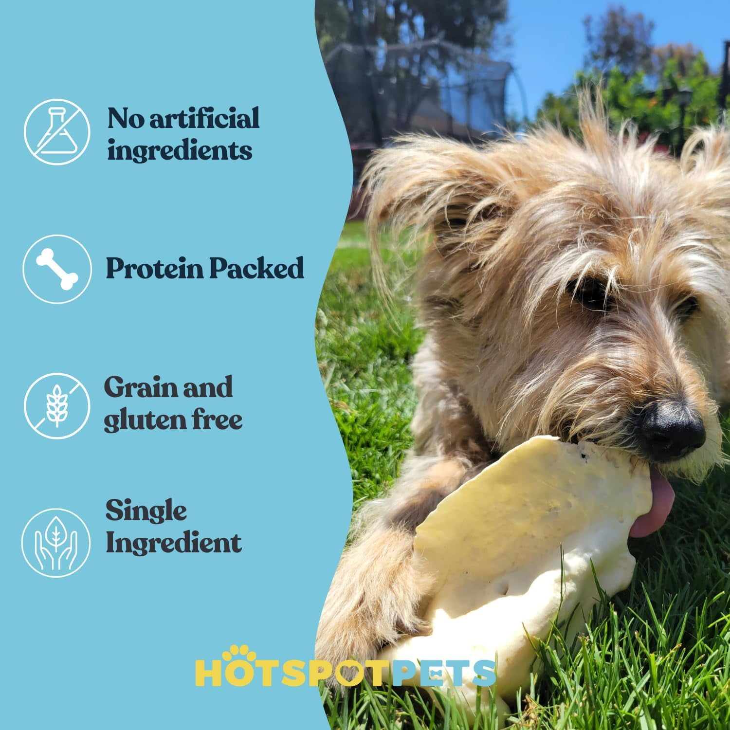 Hotspot Pets Cow Ears for Dogs - Grain Free Fully Digestible Rawhide Alternative - 3-5'' Ears (10 Pack)