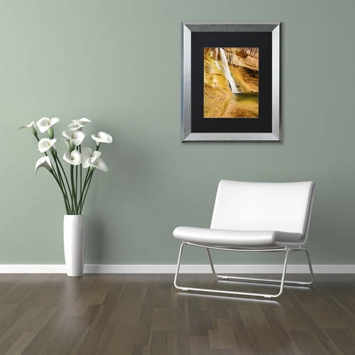 Trademark Fine Art "Desert Oasis" Canvas Art by Michael Blanchette Photography Black Matte, Silver Frame