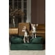 thumbnail image 2 of Cama para perros NOAH & PAW, 71 x 58 x 28 cm, gel refrescante ortopédico, 2 of 8