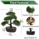 thumbnail image 3 of Árbol Bonsái Artificial Briful Junípero Verde de 36 cm para Decoración, 3 of 6