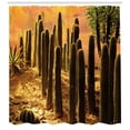 thumbnail image 3 of Ambesonne Nature Shower Curtain, Sunset in Wild Desert, 69"Wx70"L, Multicolor, 3 of 3