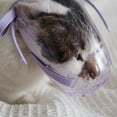 thumbnail image 4 of Muzzle Cats Face Guards Mask Bitingproof Cats Muzzle for Grooming Breathable Mouth Cover Transparent PVC Muzzle, 4 of 8