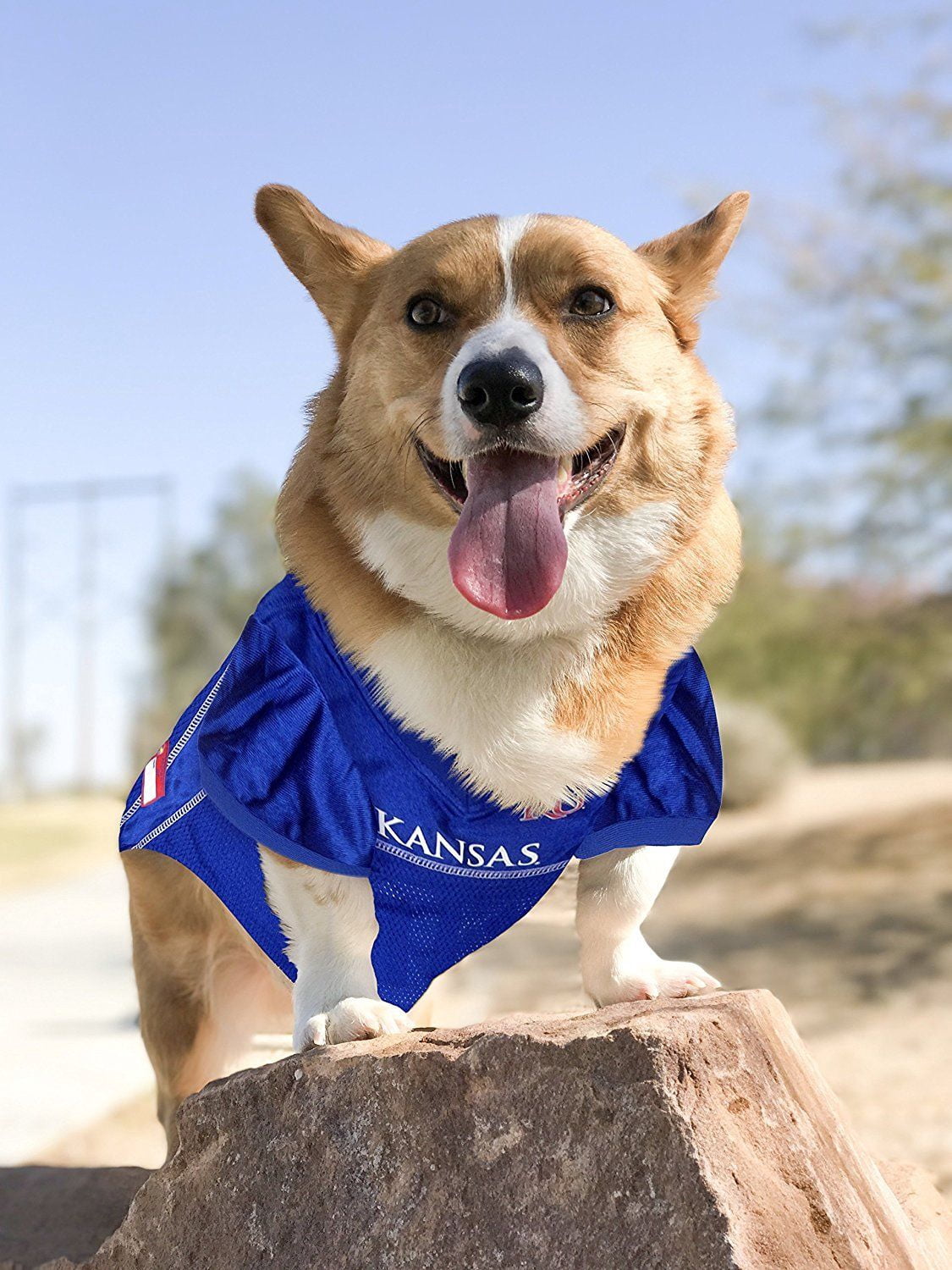 Pets First Collegiate Kansas Jayhawks Football/Basketball Mesh Jersey for Pet Dog. available in 40+ Teams - Medium