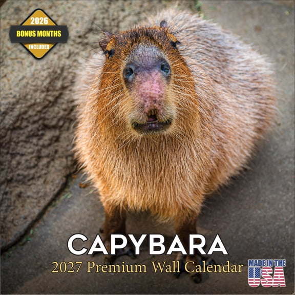 MegaCalendars 2026-2027 Capybara Wall Calendar, 12x12 Bonus Month Monthly Planner, Made in USA