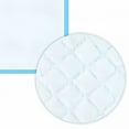 thumbnail image 4 of CCOCC 20PCS Super Absorbency Disposable Underpads Leakproof Quick Drying Disposable Pads Puppy Pads Cats Pee Pads for Dogs Potty Puppy Training Pads 33x45cm Cage Liners, 4 of 5
