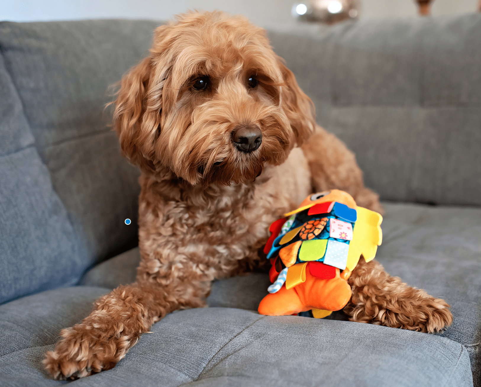 Vibrant Life Flappy Fish Plush Dog Toy with Crinkle and Squeaker, Multicolor