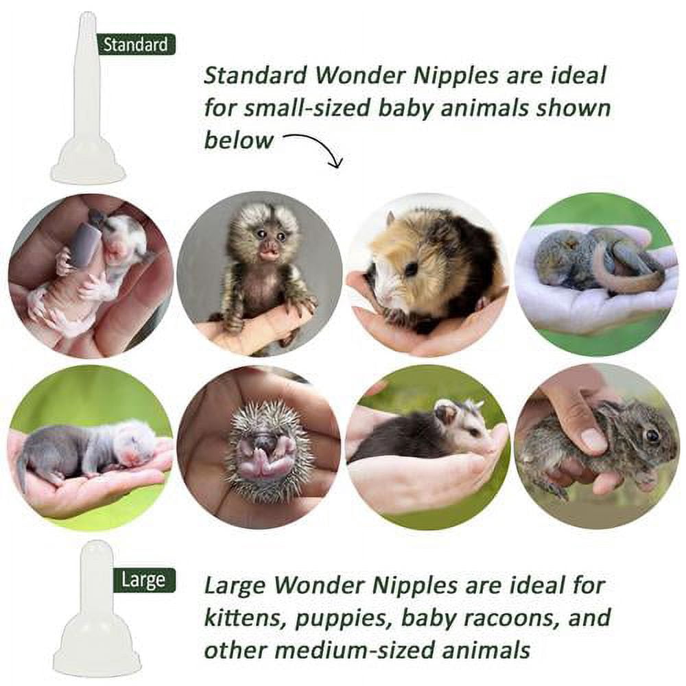 Exotic Nutrition 3mL Slip-Tip Syringe 100 pack