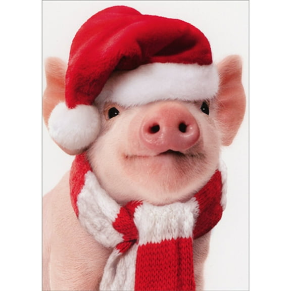 Avanti Press Santa Piglet With Knit Scarf Cute Christmas Card (1 card/1 envelope)