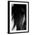 thumbnail image 2 of "Shadow Horse" Framed Painting Print, 2 of 5