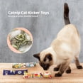 thumbnail image 3 of 3 Packs Cat Catnip Toys, Cat Pillows Interactive Kicker Toys for Indoor, Bite-Resistant Cat Chew Toys with Cute Prints, PP Cotton Filled Catnip Kick Toys Teaser Toys for Cats, Kittens, Puppies, 3 of 8