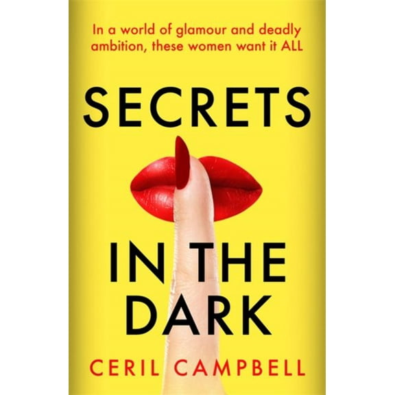 Secrets in the Dark (Paperback)