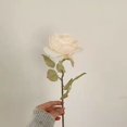 thumbnail image 1 of Flor artificial retro con borde de Coca-Cola, rosa, flor falsa individual, decoración del hogar, accesorios para fotos, adornos para jarrones, flores artificiales de plástico, 1 of 6