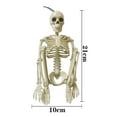 thumbnail image 4 of Human Skeleton Model Full Body Halloween Spoof Party Garden Decor Collection - Black shawl, 10x40cm, 4 of 6