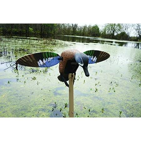 MOJO Outdoors Elite Series Spinning Wing Duck Motion Decoys | Works for Teals Doves Ducks & More Waterfowl Hunting