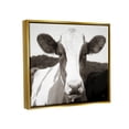 thumbnail image 3 of Stupell Industries Cow Portrait Farm Landscape Animals & Insects Photography Gold Floater Framed Art Print Wall Art, 31 x 25, 3 of 9