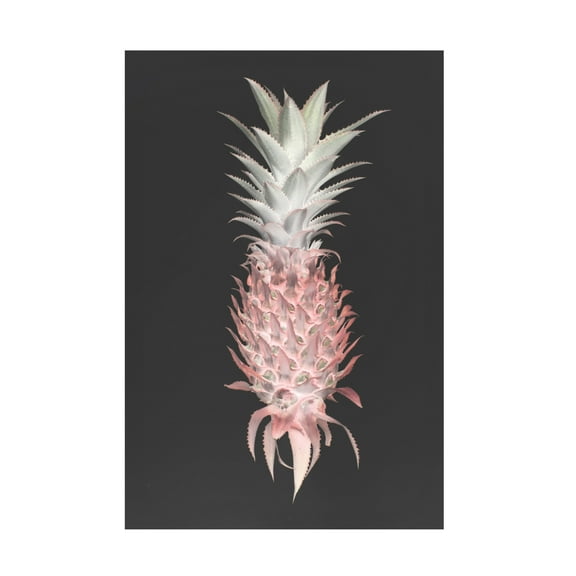 Trademark Fine Art Shot by Clint Strawberry Pine Canvas Wall Art