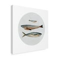 thumbnail image 2 of Trademark Fine Art 'Three Fish II' Canvas Art by Emma Scarvey, 2 of 4