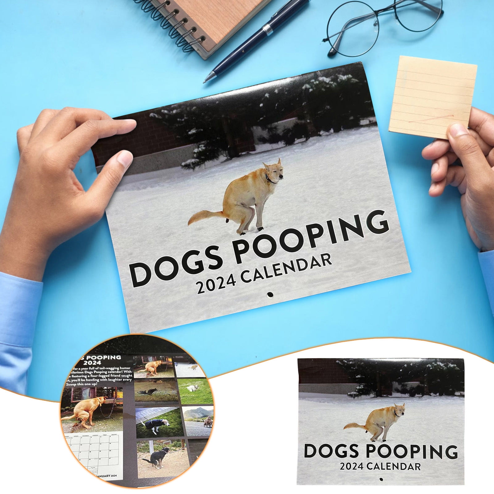 2024-calendar-dogs-pooping-in-beautiful-places-wall-calendar-january-2024-from-december-funny