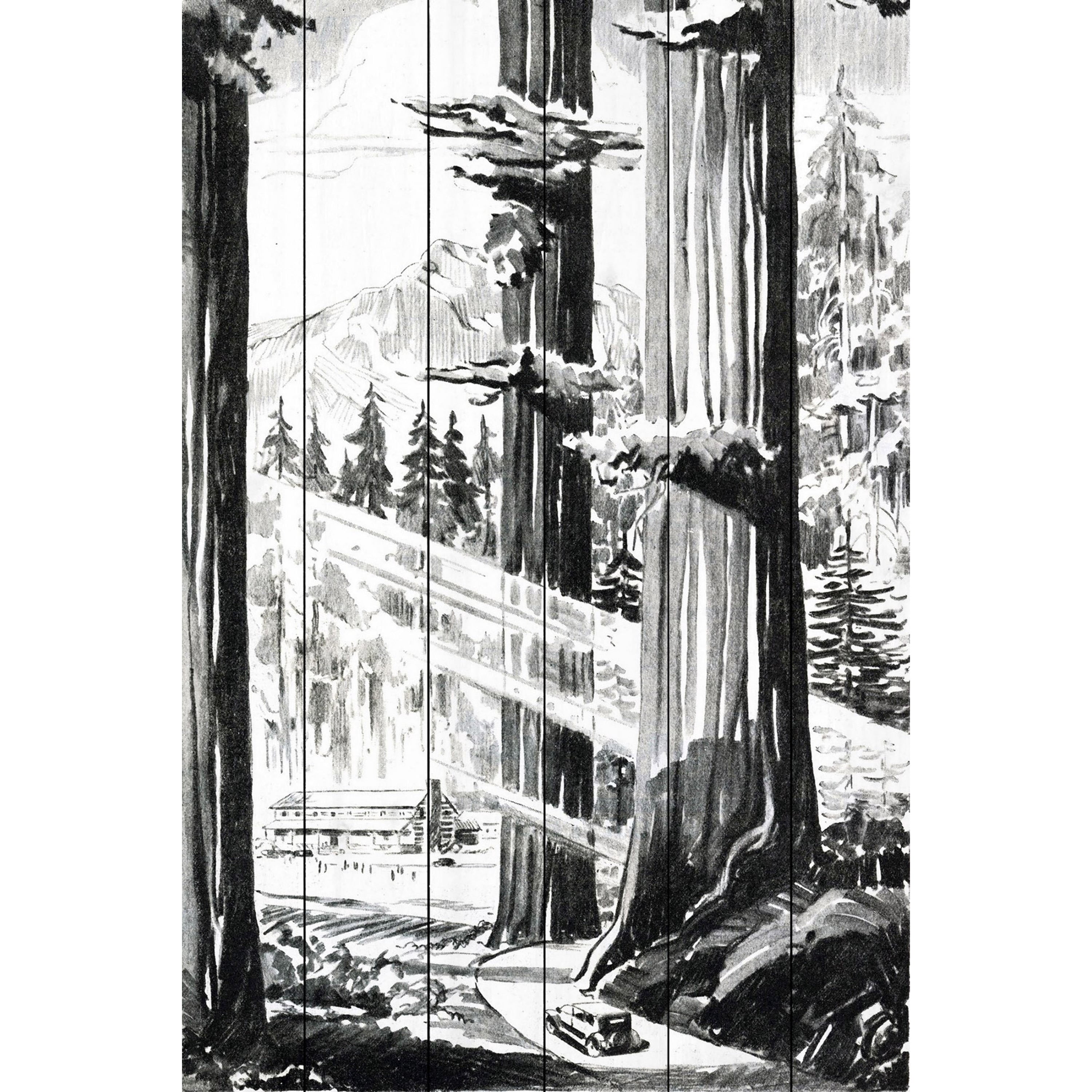 Marmont Hill "Redwoods" Painting Print on White Wood
