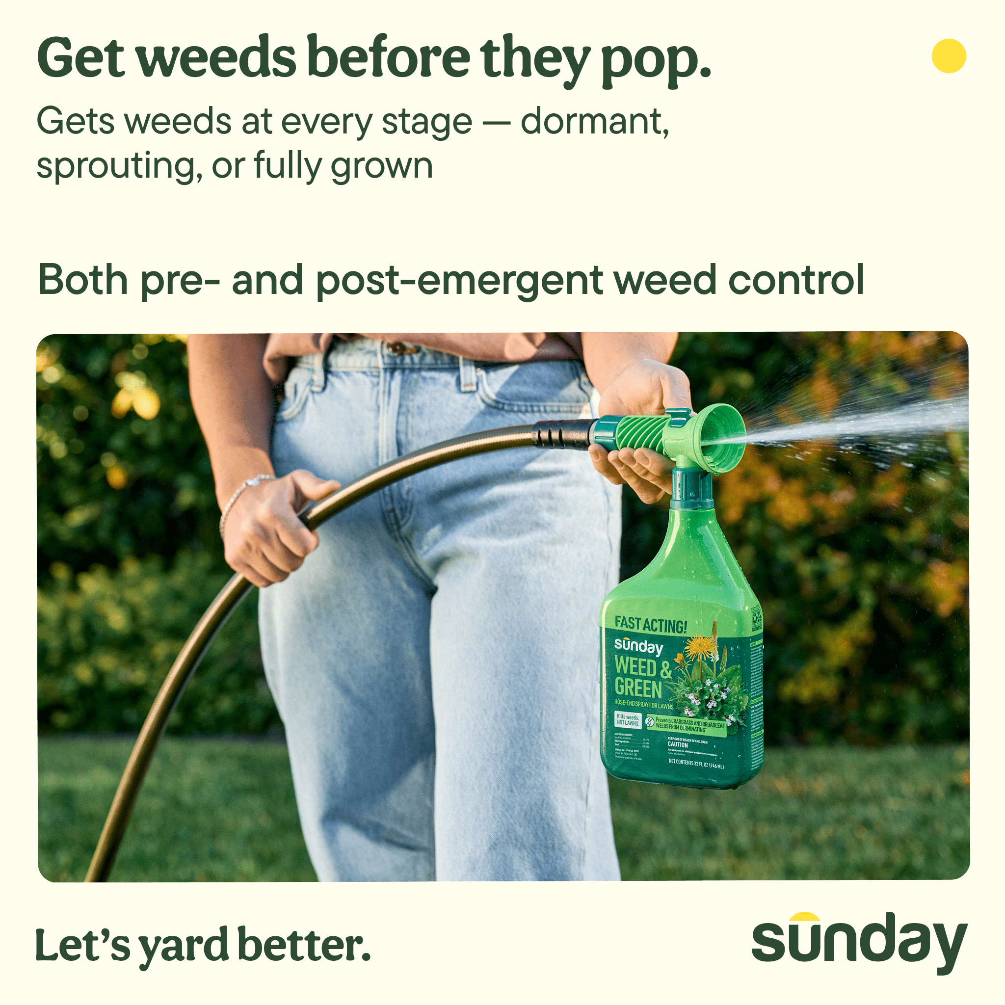 Sunday Weed & Green 5-in-1 Pre-Emergent and Post-Emergent Lawn Weed Killer, 1,250 Sq ft, 32 fl oz