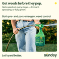 thumbnail image 2 of Sunday Weed & Green 5-in-1 Pre-Emergent and Post-Emergent Lawn Weed Killer, 1,250 Sq ft, 32 fl oz, 2 of 7