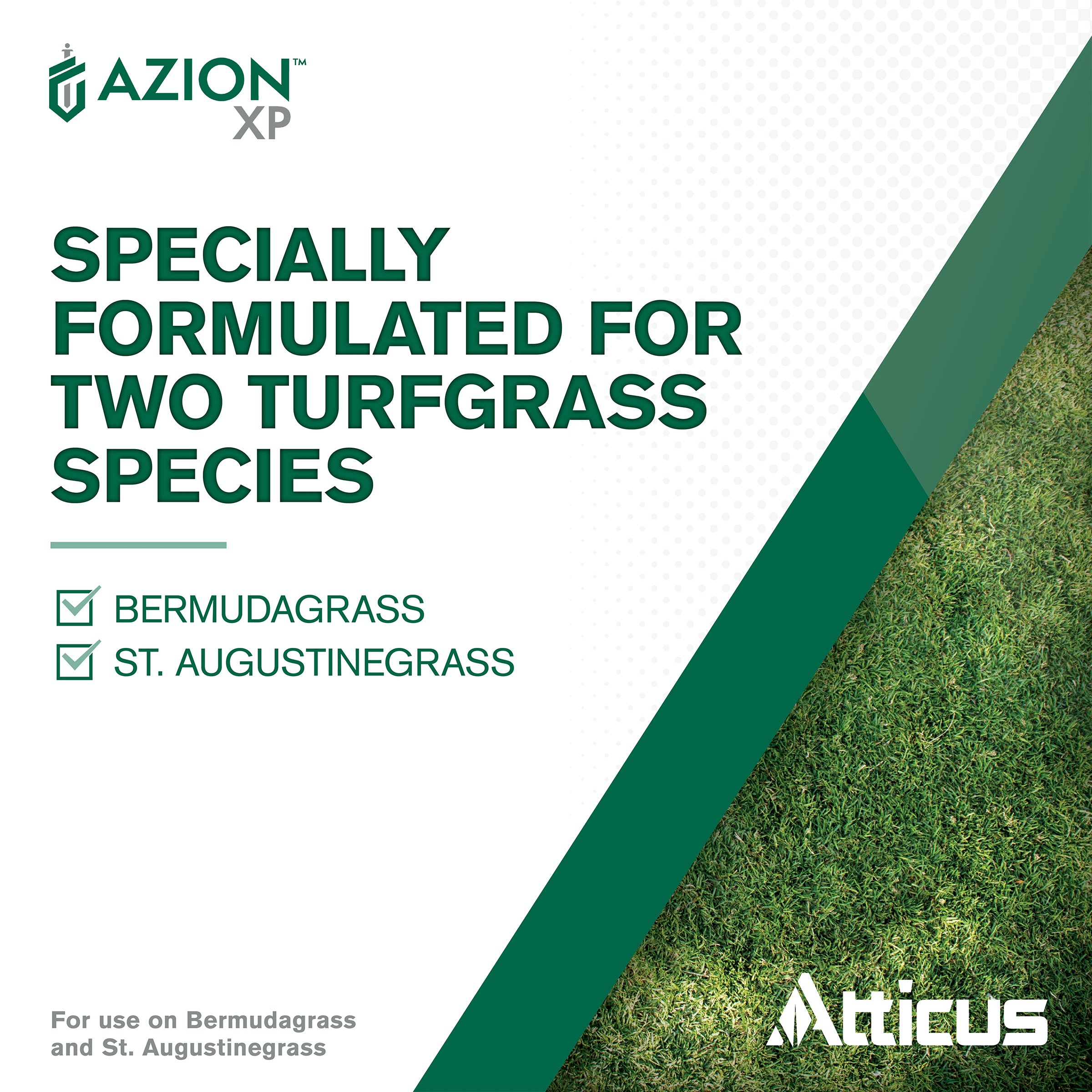 Azion XP MSM Turf Herbicide (16 oz) - Selective Postemergence Weed and Brush Control, Metsulfuron Methyl 60% by Atticus