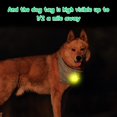 thumbnail image 2 of Collar de silicona para perro con luz para pata (5 unidades), resistente al agua, luz nocturna de seguridad para perros y gatos que acampan, verde, rojo, amarillo, azul y rosa., 2 of 4